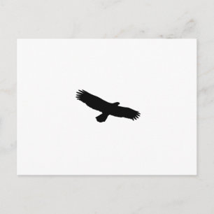 Hawk Silhouette Vykort