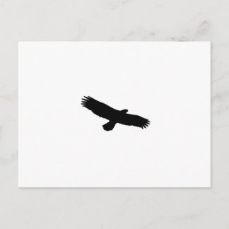 Hawk Silhouette Vykort