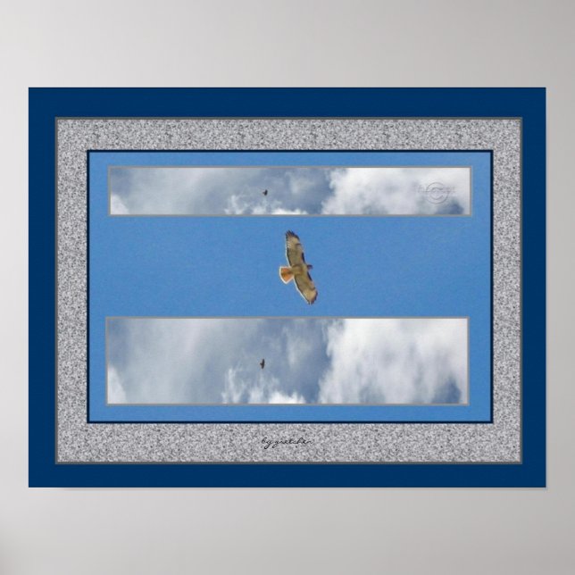 Hawk Soaring Collage 2 Photo Poster av Gretchen (Framsidan)