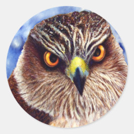 Hawk Stickers Runt Klistermärke