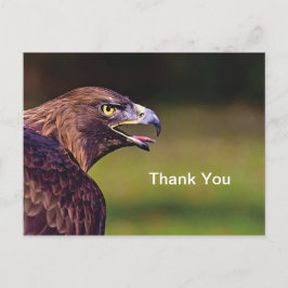 Hawk Tacksamhets Postkort Vykort