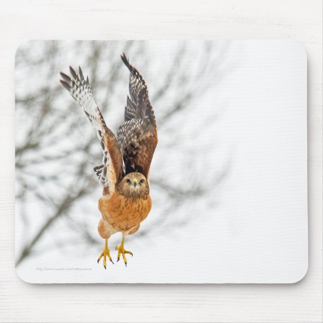 Hawk Take Flight Musmatta (Framsidan)