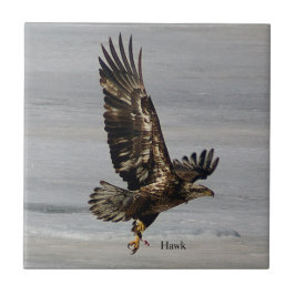 Hawk tile kakelplatta