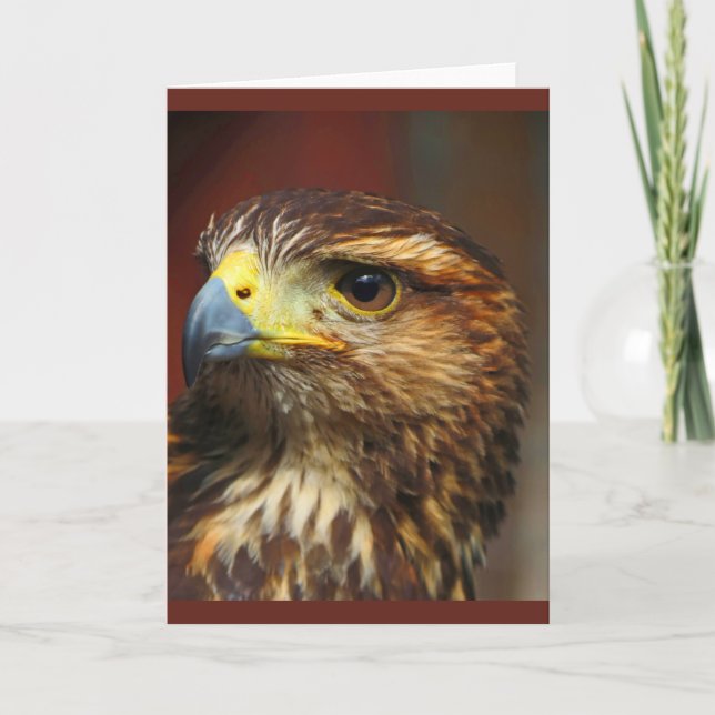 Hawk Tittar för Lunch Card Kort (Framsida)