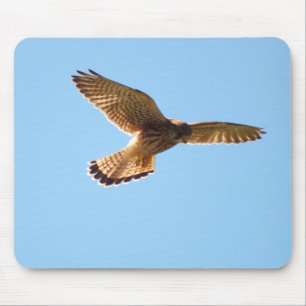 Hawk under flygning musmatta