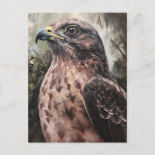 Hawk Vykort