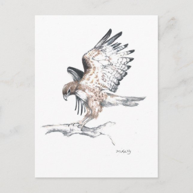 Hawk Vykort (Framsida)
