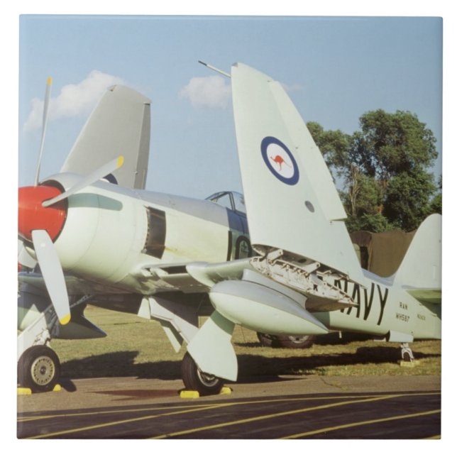 Hawker Sea Fury på CAF, Minnesota Wing, på Kakelplatta (Framsidan)