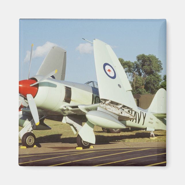Hawker Sea Fury på CAF, Minnesota Wing, på Magnet (Framsidan)