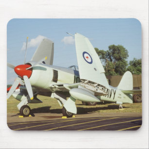 Hawker Sea Fury på CAF, Minnesota Wing, på Musmatta