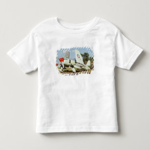 Hawker Sea Fury på CAF, Minnesota Wing, på T-shirt
