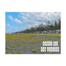 Hawkes Bay i Nya Zeeland