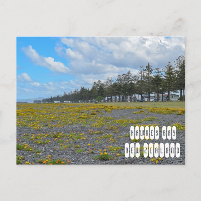 Hawkes Bay i Nya Zeeland Vykort (Framsida)