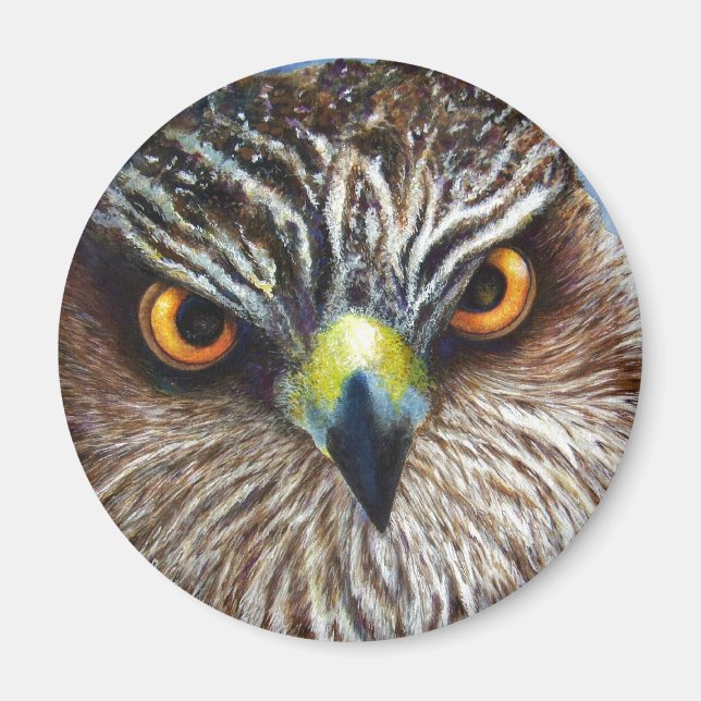 Hawkeyes Magnet (Framsidan)