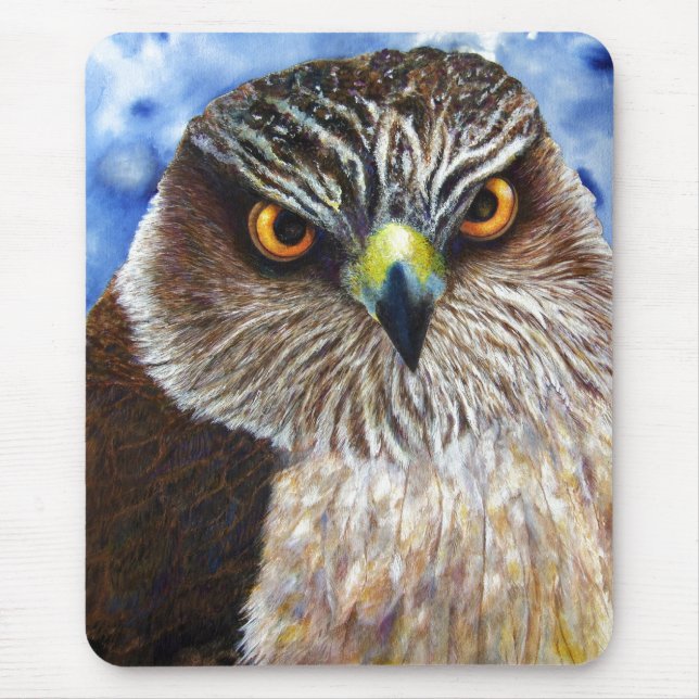 Hawkeyes Musmatta (Framsidan)