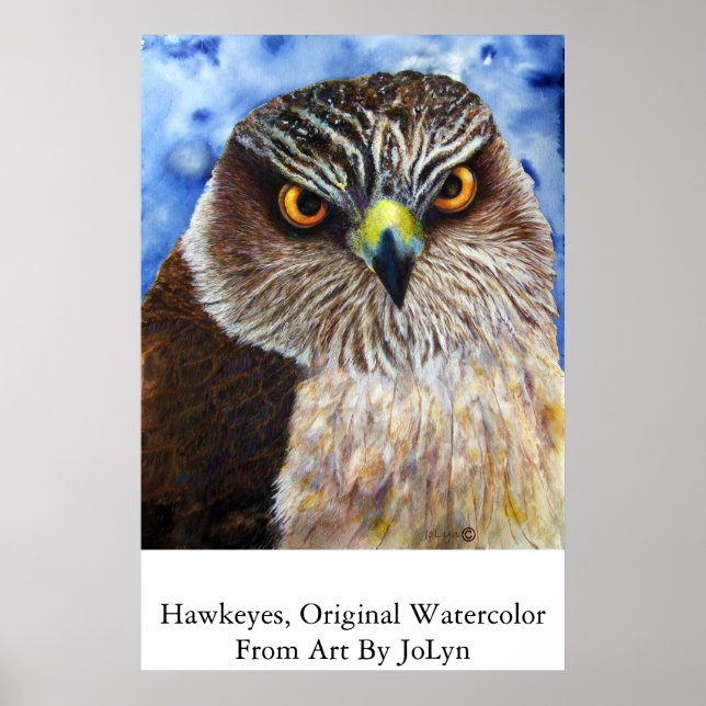 Hawkeyes Poster (Framsidan)