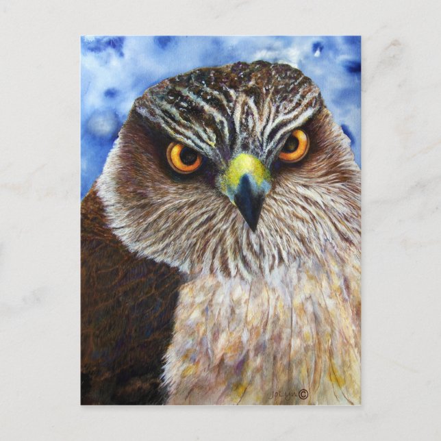 Hawkeyes Vykort (Framsida)