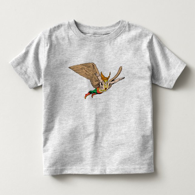 Hawkman Flies Tröja (Framsida)