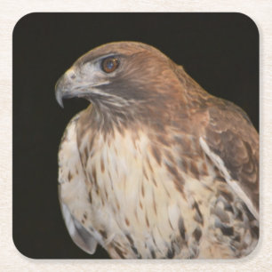 Hawks anda underlägg papper kvadrat