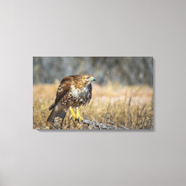 Hawks öga canvastryck