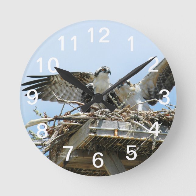 Hawks Ospreys Wall Clock Rund Klocka (Framsida)