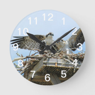 Hawks Ospreys Wall Clock Rund Klocka