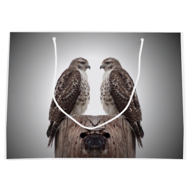 Hawks på en post (Framsidan)