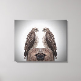 Hawks på en post canvastryck