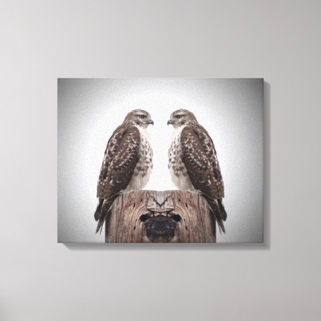 Hawks på en post canvastryck (Framsida)