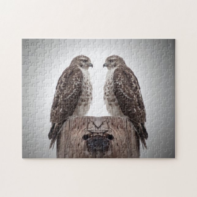 Hawks på en post pussel (Horisontell)