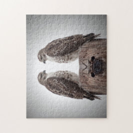 Hawks på en post pussel