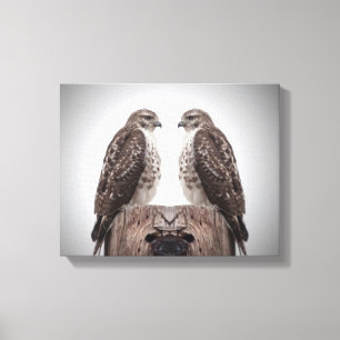Hawks på posten canvastryck