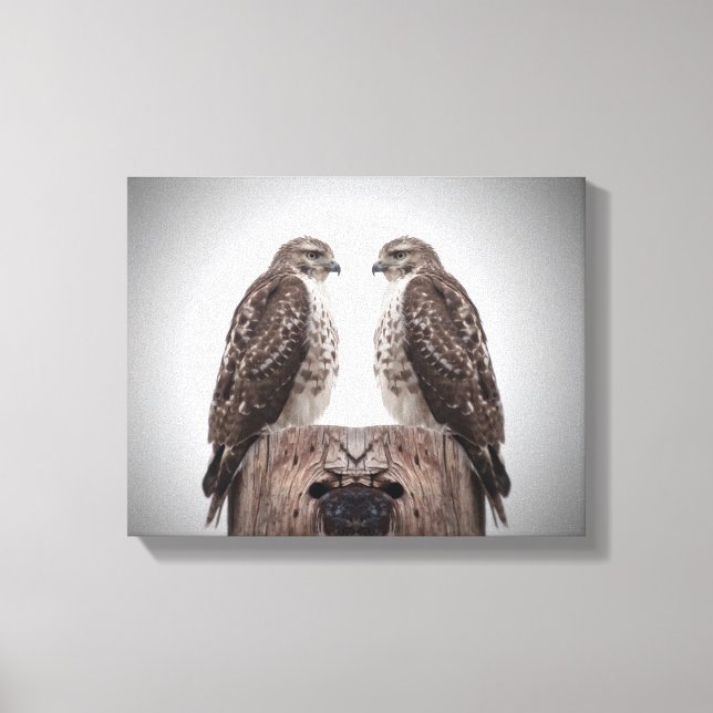 Hawks på posten canvastryck (Framsida)