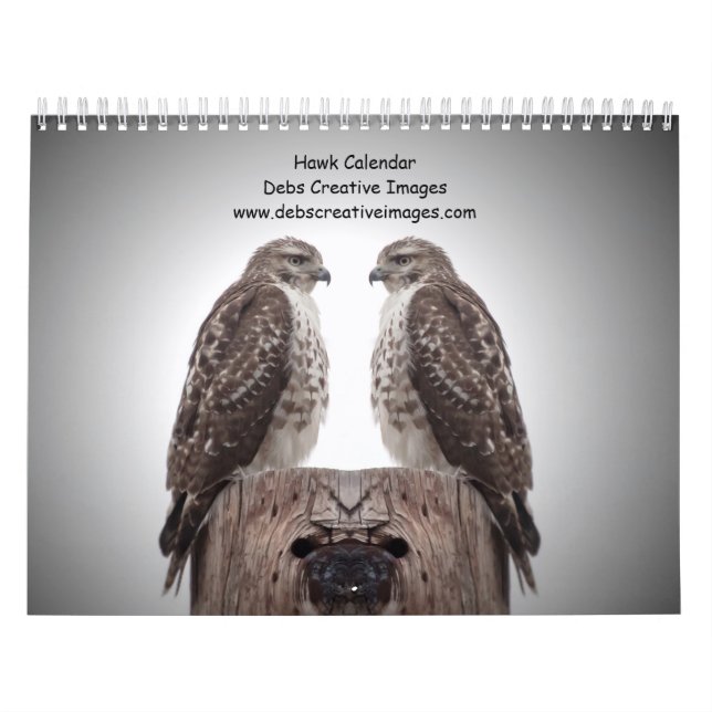 Hawks under vilden 2026 kalender (Omslag)