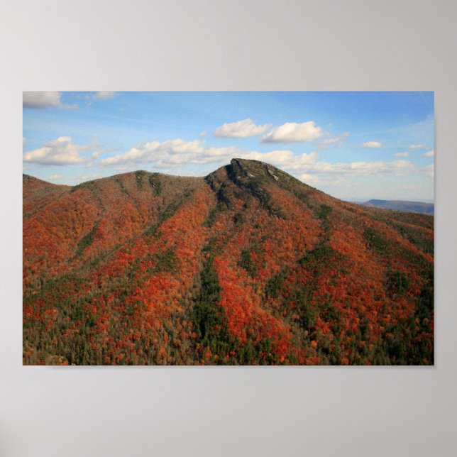 Hawksbill Mountain i Fall, North Carolina Poster (Framsidan)