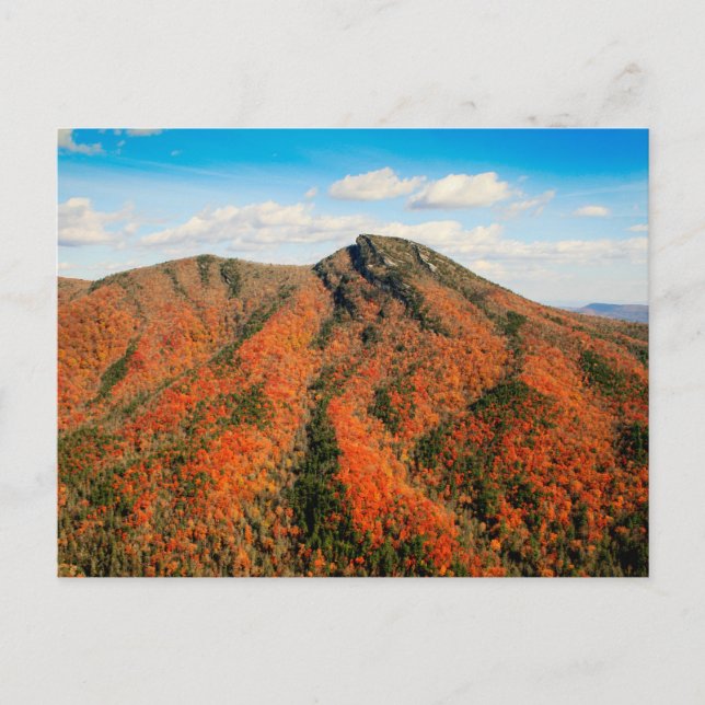 Hawksbill Mountain, Linville Gorge, North Carolina Vykort (Framsida)