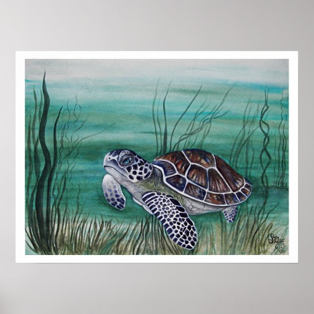 Hawksbill Sea Turtle Poster (Framsidan)