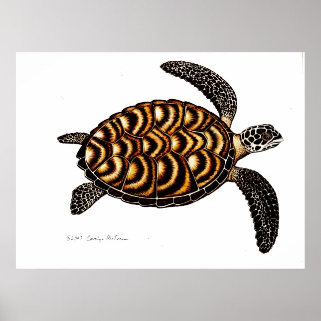 Hawksbill Sea Turtle Poster (Framsidan)