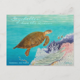 Hawksbill Sea Turtle Vykort