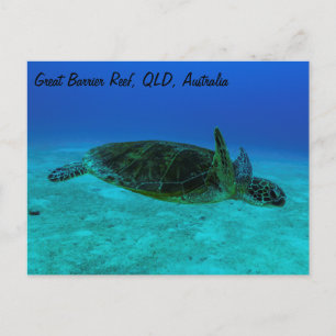 Hawksbill Sea Turtle-vykort Vykort