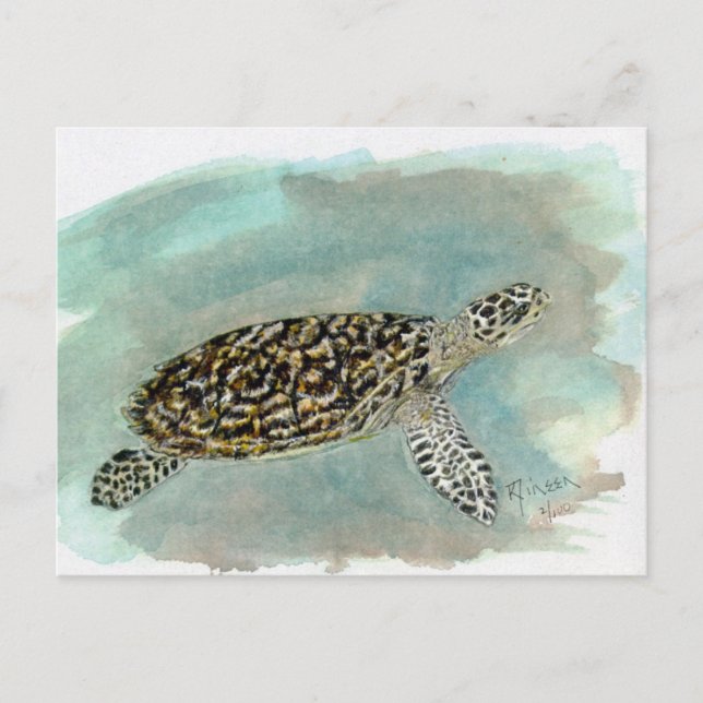 Hawksbill Sea Turtle-vykort Vykort (Framsida)