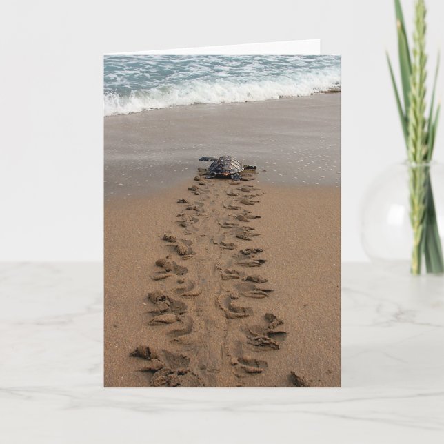 Hawksbill Turtle Trek-anteckningskort Kort (Framsida)