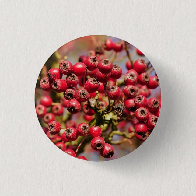 Hawthorn Berries Badge Knapp (Framsida)