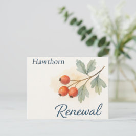 Hawthorn — Renewal Vykort