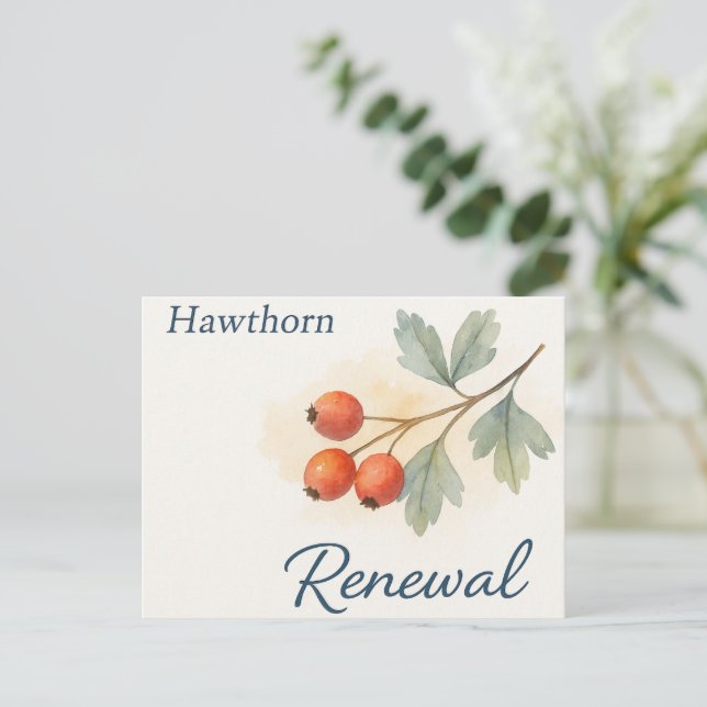 Hawthorn — Renewal Vykort (Stående Fram)