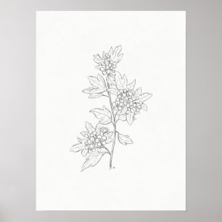 Hawthorn Sketch Art Skriv ut Poster