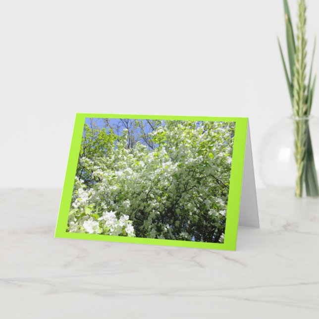 Hawthorn Träd i Blanka anteckningskort för blomma (Framsida)