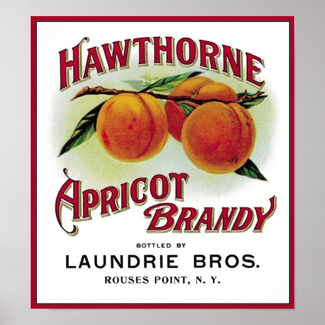 Hawthorne Apricot Brandy Poster (Framsidan)