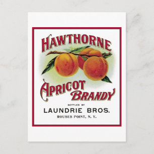 Hawthorne Apricot Brandy Vykort