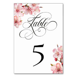 Hawthorne Calligraphy Table Number Card Bordsnummer